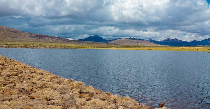 Qochas impulsan recuperación de ecosistemas altoandinos en Maure Kallapuma en Tacna Perú