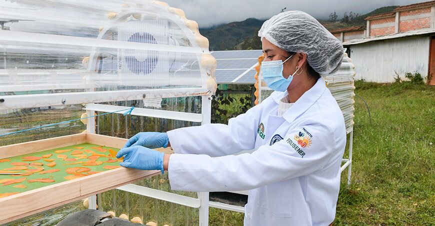 UNTRM utiliza energía solar para conservar frutas de manera eficiente Amazonas Perú