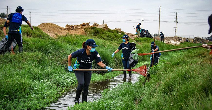 Convocan a voluntarios para jornada de limpieza del Humedal Pantanos de Villa Lima Perú