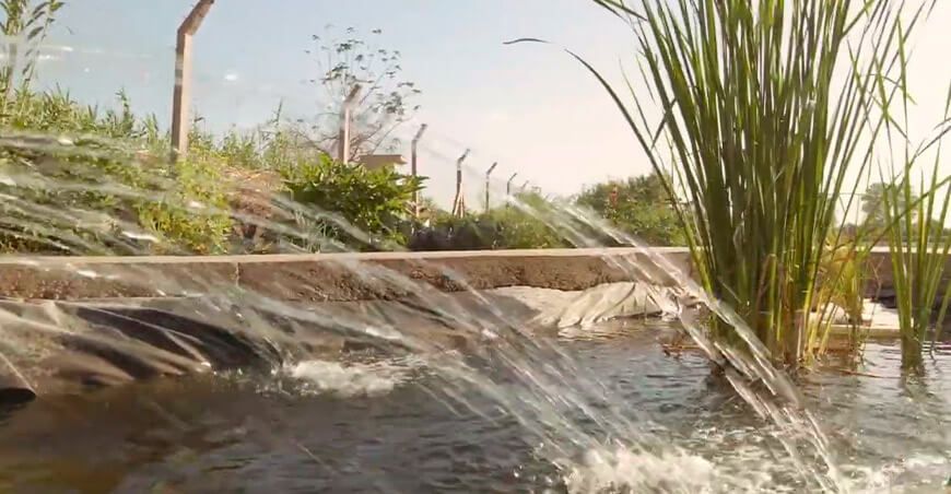 totora tratamiento aguas residuales