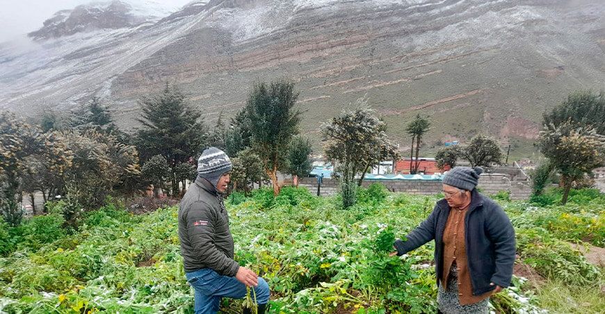 Nevada afecta cultivos en la provincia de Yauli Junín Perú