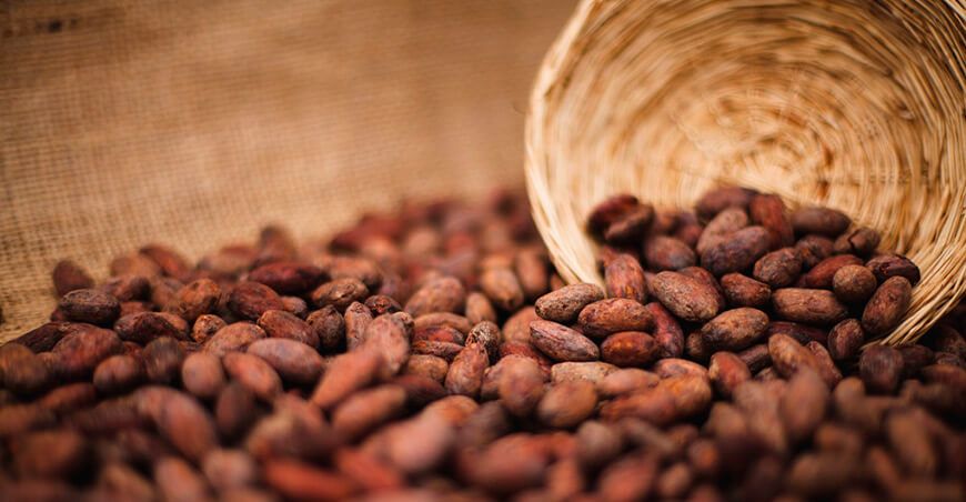 Perú exportación de cacao peruano