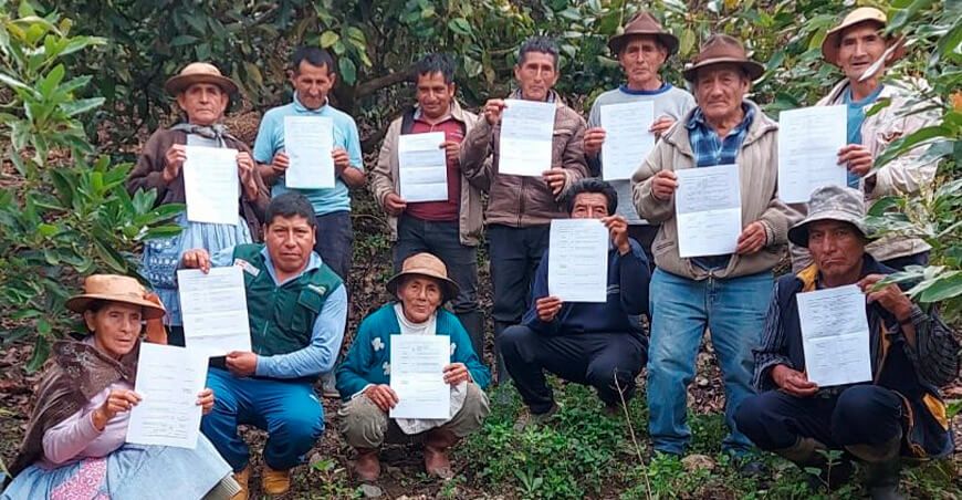 Agro Rural impulsa la producción de palto con asistencia técnica y capacitación
