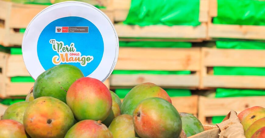 Agromercado Midagri artículo estrategias venta mango Lambayeque Perú