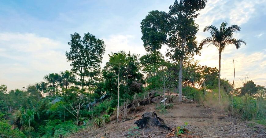 Amazonía Perú pueblos indígenas