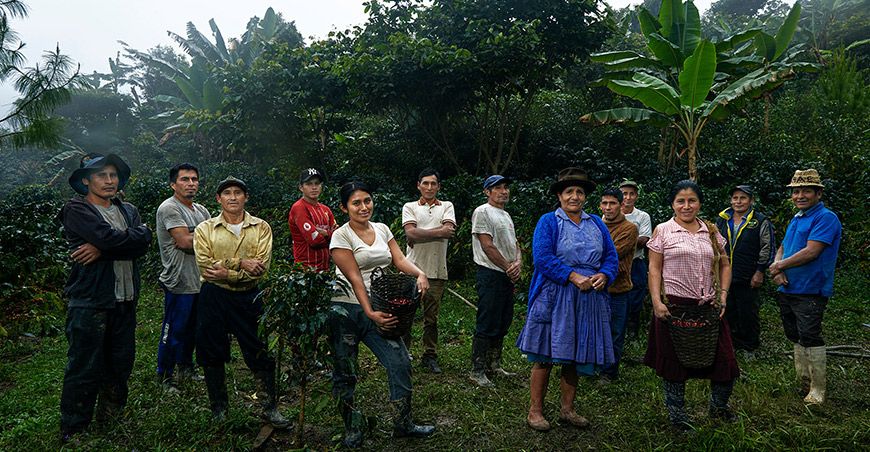 Asociaciones de café y cacao mejorarán su competitividad con apoyo de Procompite gracias a la asistencia de Devida Perú