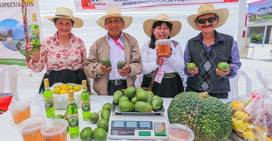 Procompite Moquegua fortalece cadenas productivas de palta y miel