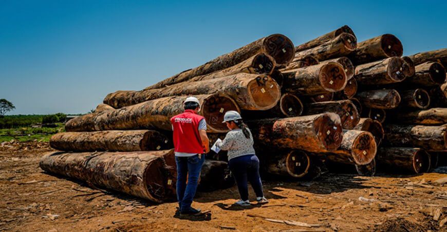 CITEforestal Pucallpa certifica a la primera promoción de gestores de información de trazabilidad maderable Ucayali Perú