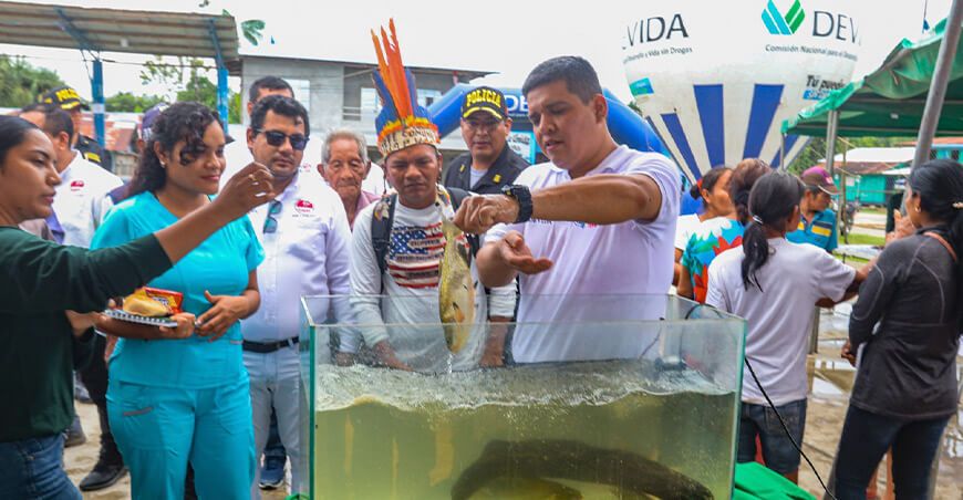 Devida impulsa el desarrollo alternativo en comunidades de la triple frontera Loreto Perú