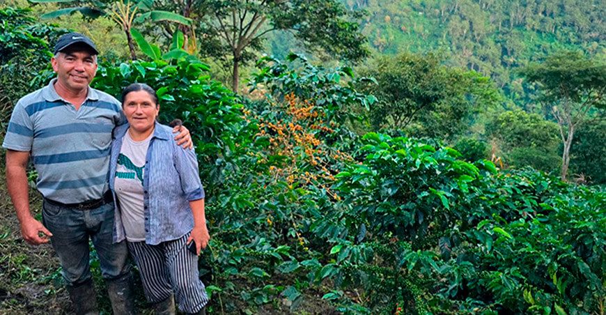Devida socializa acciones de desarrollo alternativo con productores de café Amazonas