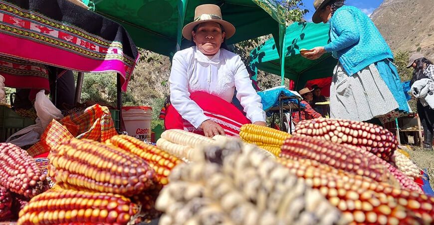 productora agroecológica de maíz IDMA Perú
