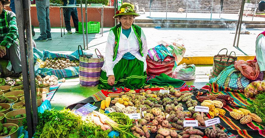 productor agroecológico IDMA Perú