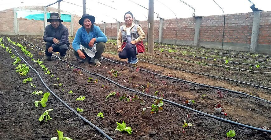 Foncodes impulsa emprendimientos rurales en Ayacucho