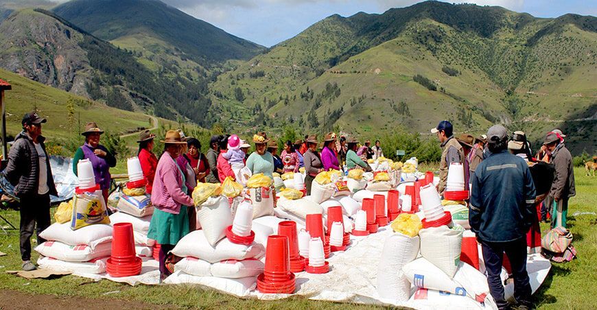 Fortalecen crianza de gallinas en comunidades de Coyllurqui Apurímac Perú