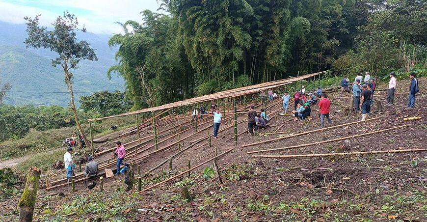 Avanza construcción de vivero para producir 250 000 plantones de café en Cajamarca