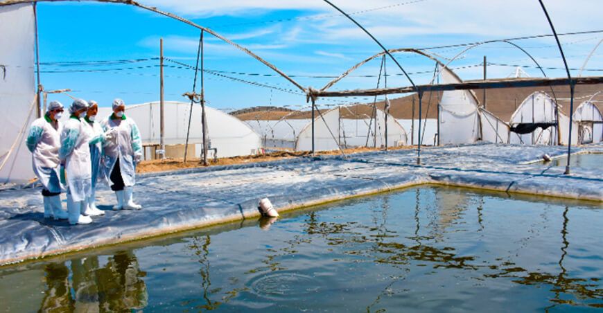 Produce Sanipes impulsa el sector pesquero y acuícola con más de 1600 habilitaciones sanitarias en 2025