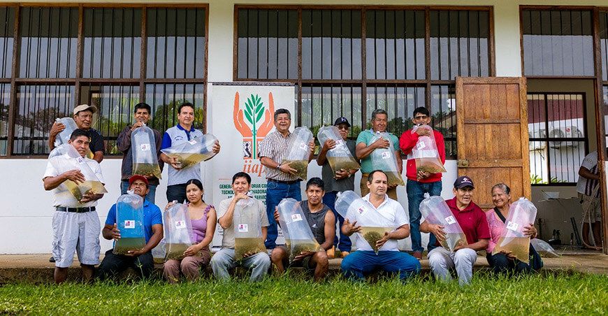 IIAP impulsa la acuicultura en Madre de Dios con la entrega de más de 40 000 alevinos de paco