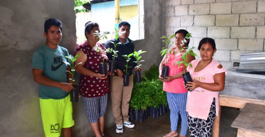 IIAP impulsa reforestación con la entrega de 600 plantones para recuperar áreas degradadas en Huánuco Perú