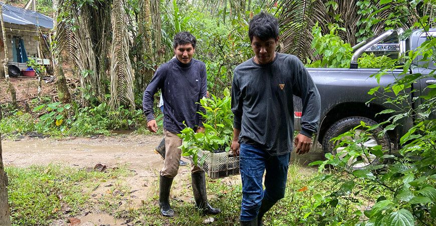 IIAP impulsa reforestación con la entrega de 600 plantones para recuperar áreas degradadas en Huánuco Perú