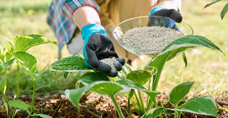 Inacal aprueba nuevas normas técnicas para fortalecer la economía circular, energía, agricultura e innovación Perú