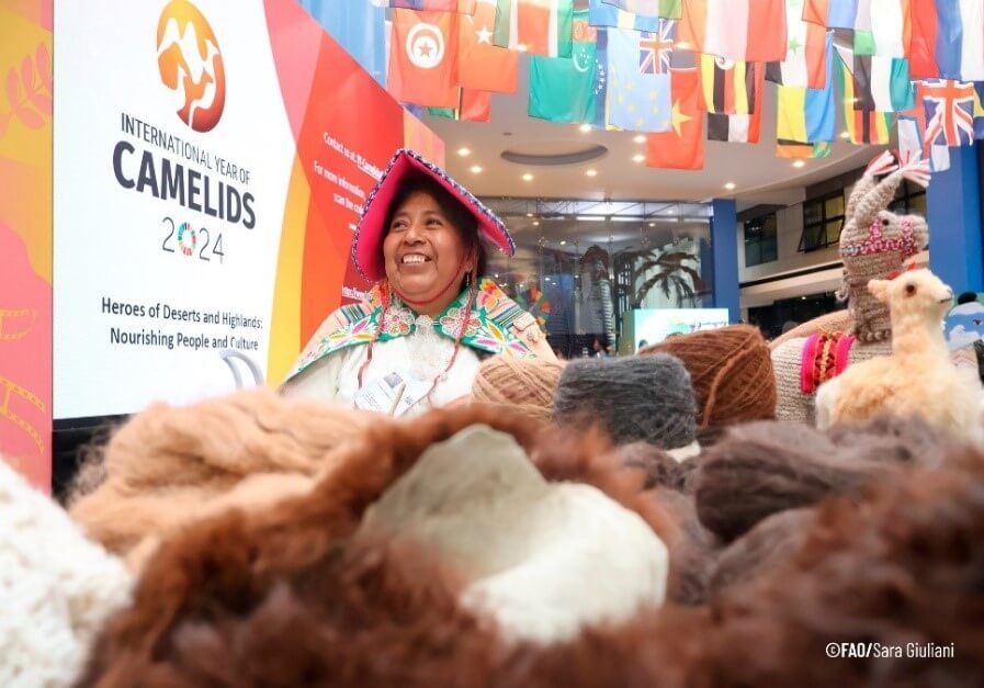 De Pucasaya a Roma: Desde las alturas de Pucasaya hasta la ciudad eterna, Inés Flores presenta sus artesanías y ovillos de fibra de alpaca en Roma.