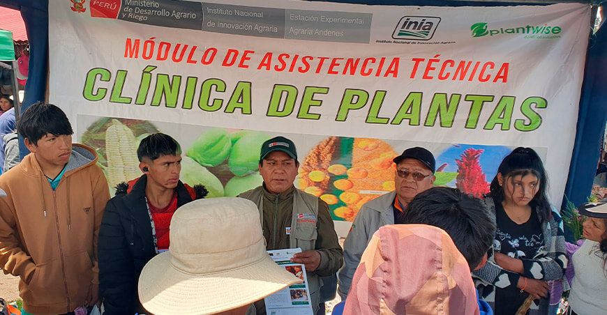 INIA fortalece la producción de papa con Módulos de Asistencia Clínica de Plantas Cusco Perú