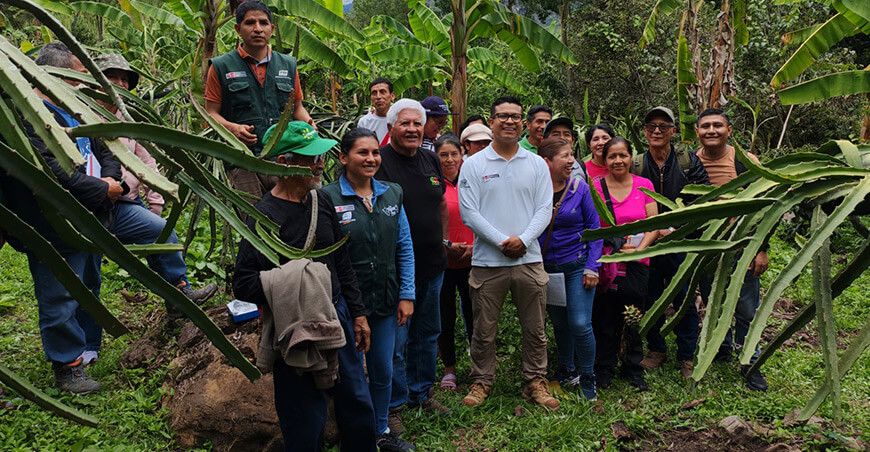 INIA transfirió metodologías agrarias para mejorar la producción de pitahaya en Amazonas