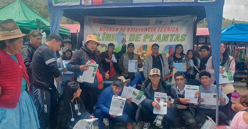 INIA fortalece la producción de papa con Módulos de Asistencia Clínica de Plantas Cusco Perú