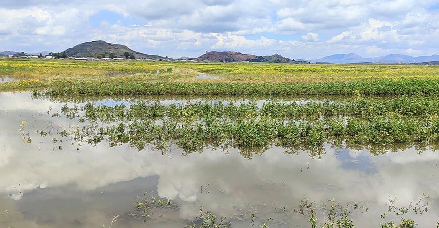 Enfen intensas lluvias Puno Perú fenómeno El Niño