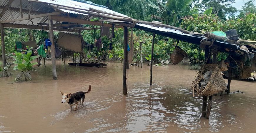 lluvias en la selva peruana