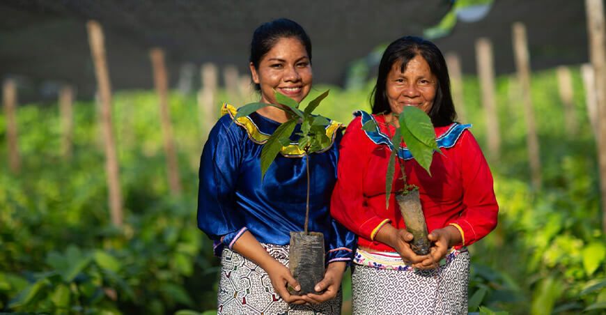 Perú supera el millón de hectáreas certificadas en manejo forestal responsable