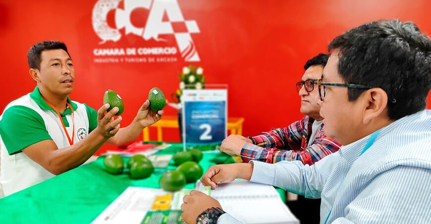 Agromercado Midagri rueda de negocios productores de palta y fresas  Ancash Perú