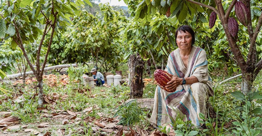 Programa Nacional de Conservación de Bosques para la Mitigación del Cambio Climático del Ministerio del Ambiente comunidades amazónicas producen cultivo de cacao Perú
