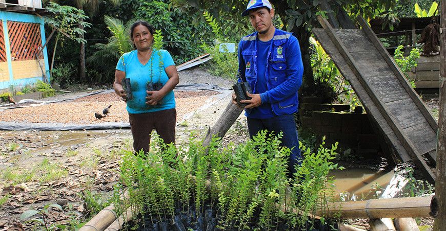 Municipalidad Distrital de Pichari entrega plantones de camu camu a productores Cusco Perú