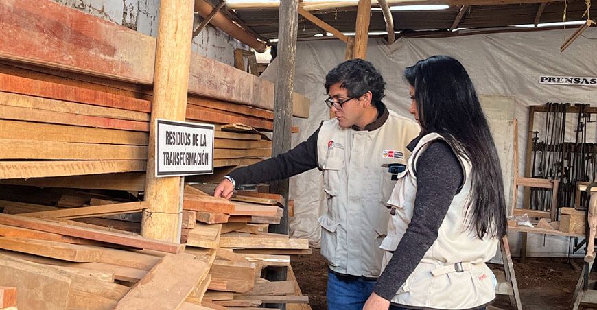 mypes madereras actividades del ITP Perú