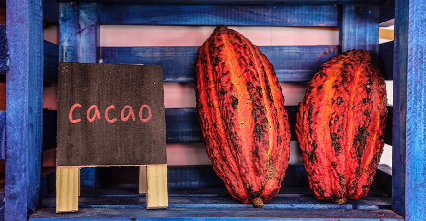 Perú exportación de cacao peruano