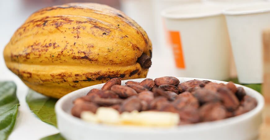 Perú exportación de cacao peruano