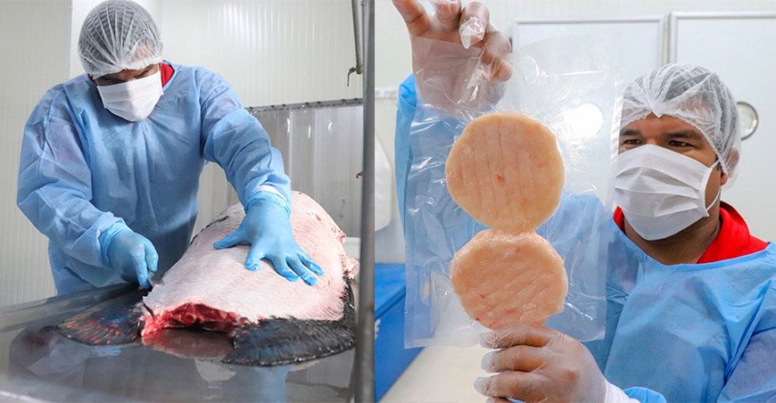 asociación Osppa Arahuana Fish han logrado modernizar la pesca artesanal del paiche silvestre, convirtiéndola en una producción sostenible e innovadora Loreto Perú