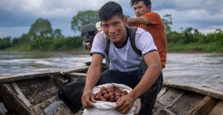 Comunidades amazónicas conservación y producción de aguaje Perú