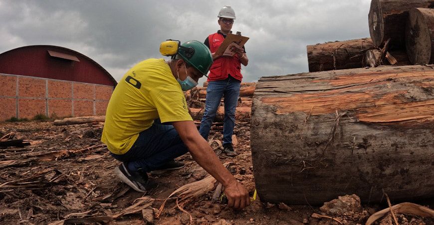 Produce promueve la certificación de competencias laborales para fortalecer la empleabilidad y el crecimiento empresarial sector forestal maderable Perú