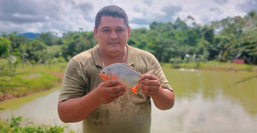 Devida asiste en la producción de peces amazónicos a productores acuícolas de Pasco