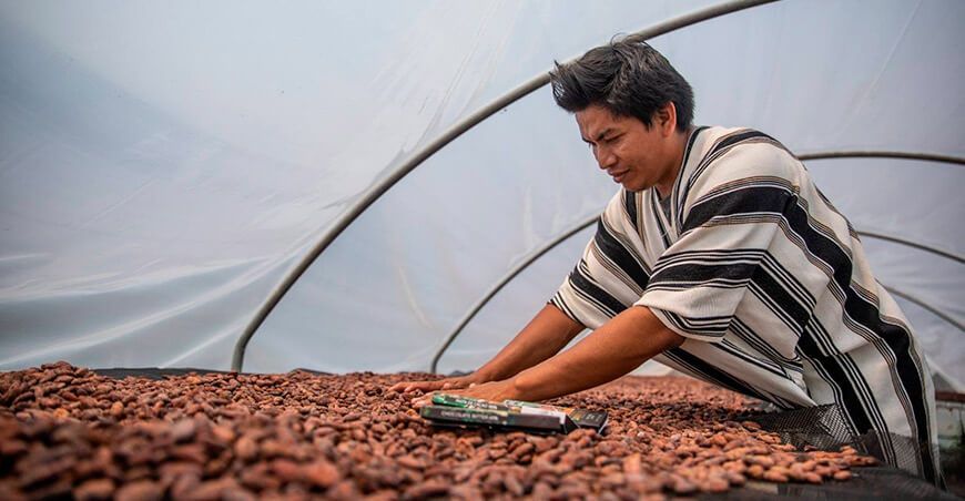 productor de cacao comunidad nativa Vraem Perú Devida