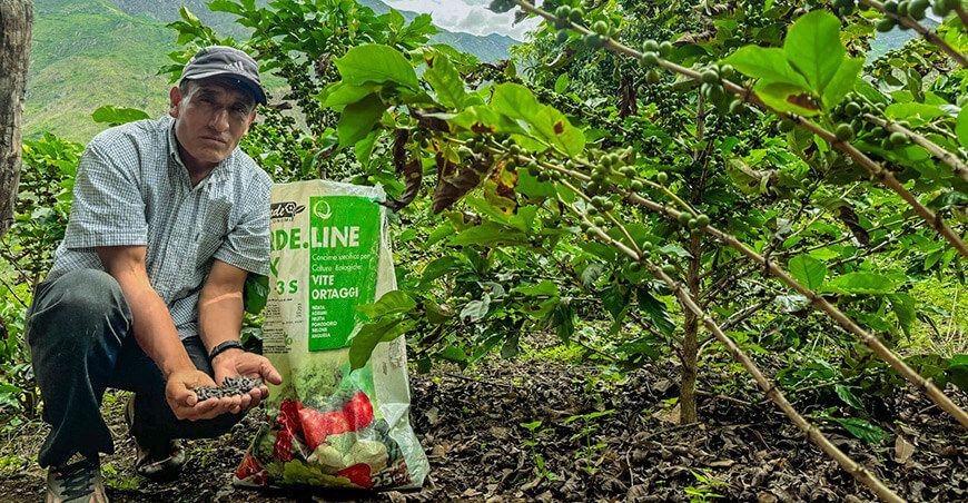 Piura impulsa el uso de abonos orgánicos en la caficultura de Jacapampa