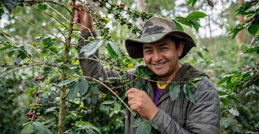 productor de cultivo de café San Martín Perú