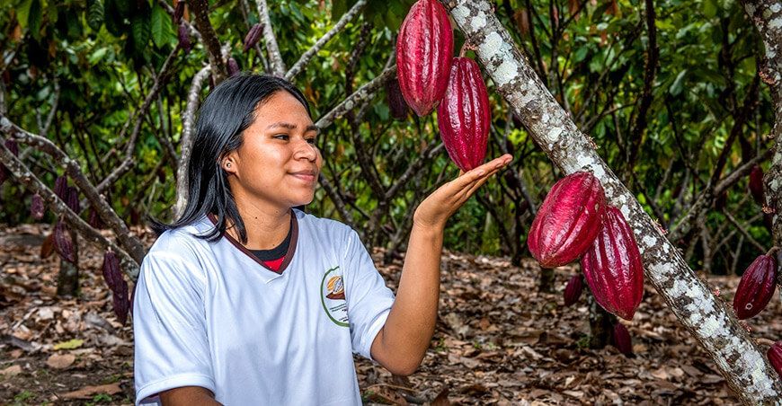 productora de cultivo de cacao San Martín