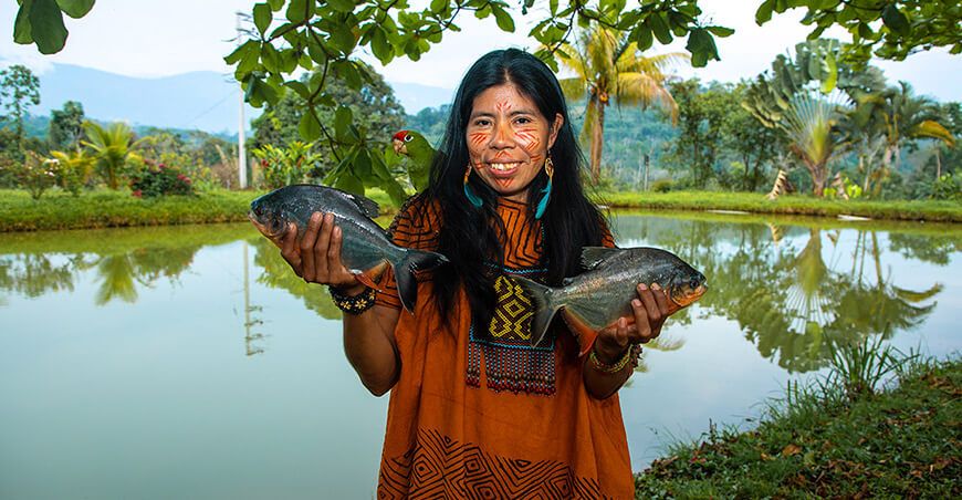 productora nativa indígena dedicada a la crianza de peces amazónicos Varem Perú Devida