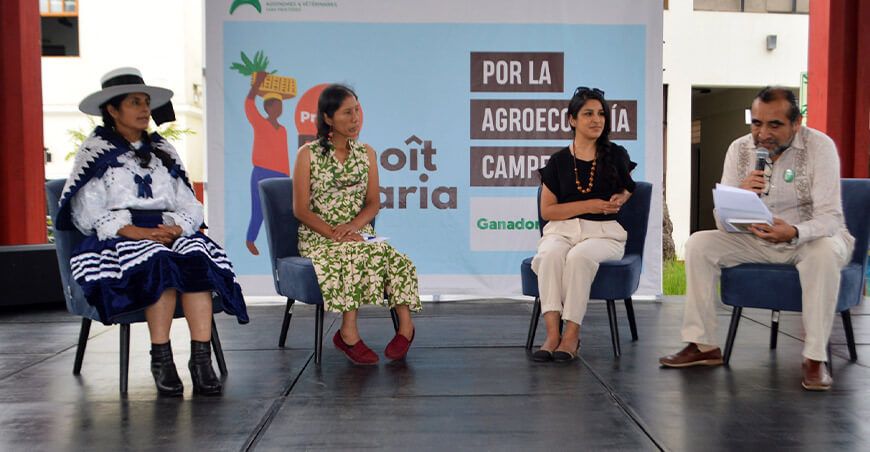 Mujeres productoras agroecológicas reciben reconocimiento internacional