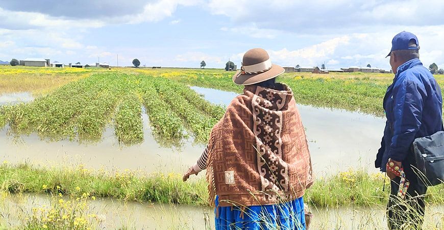 productores de Puno afectados por intensas lluvias