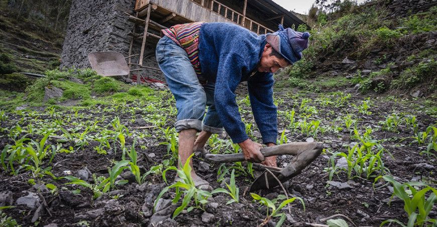 Profonanpe impulsará proyectos contra el cambio climático productor de Arequipa Perú