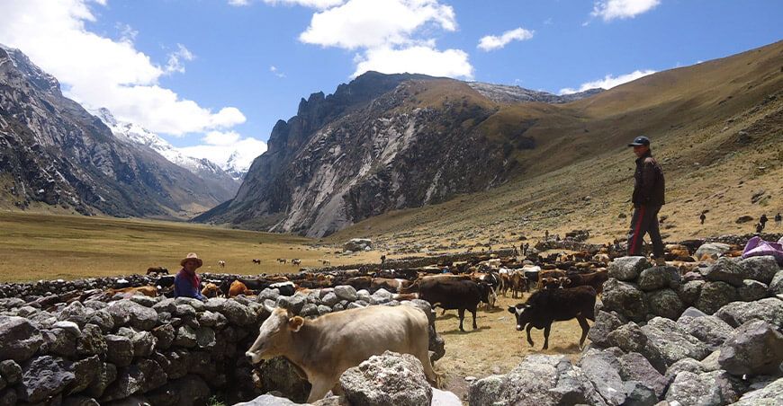 Ocho reservas de biósfera en el Perú albergan a dos millones de habitantes Parque Nacional de Huascarán Áncash